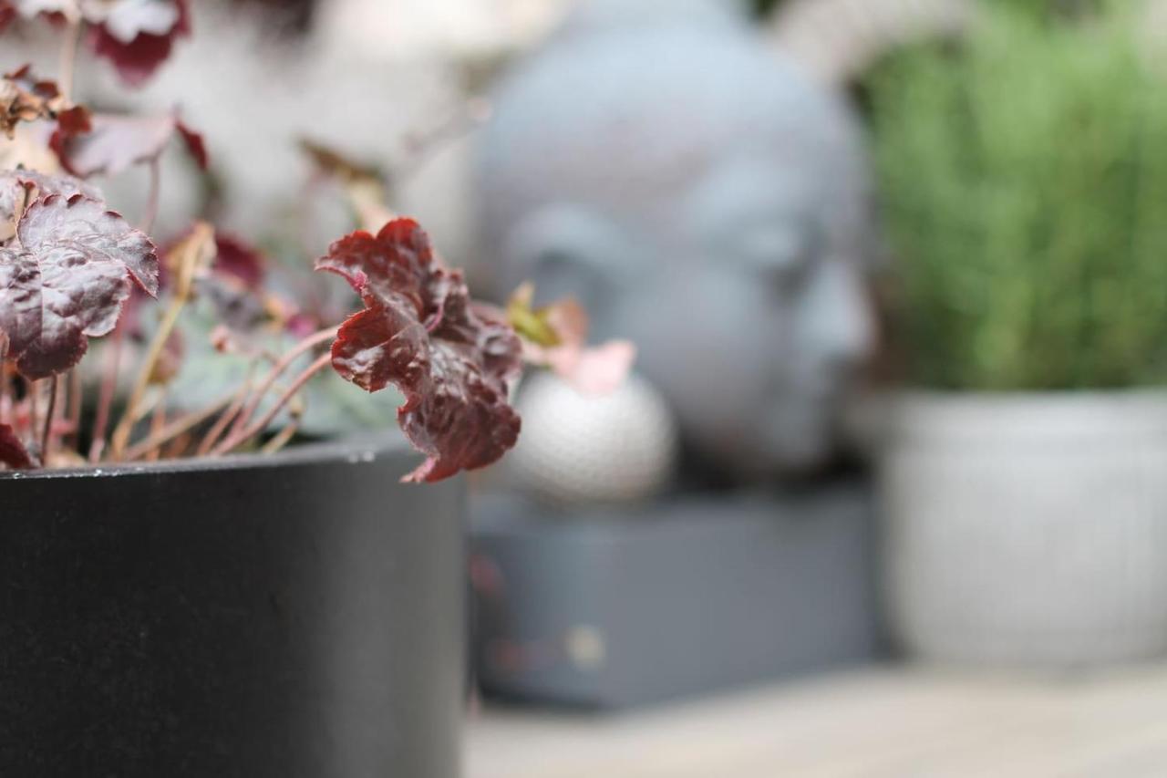 טרייר Exklusive Designferienwohnung The Backyard Tby 02 מראה חיצוני תמונה